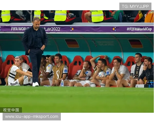 弗里克相关动态:伤情更新解读